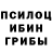 Галлюциногенные грибы Cubensis hoho _