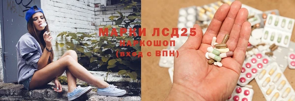 тгк Аркадак